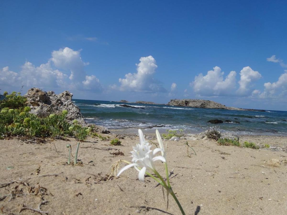 Julies Apartments Kokkini Hani Buitenkant foto