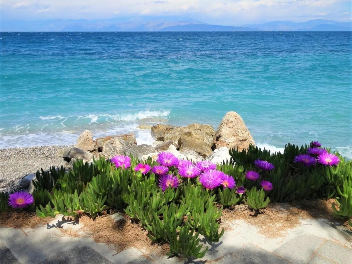 Julies Apartments Kokkini Hani Buitenkant foto